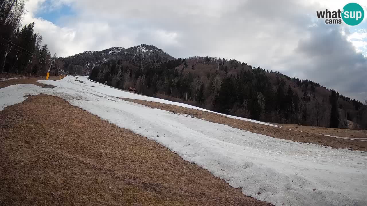 RTC Skigebiet Kranjska Gora | Brsnina