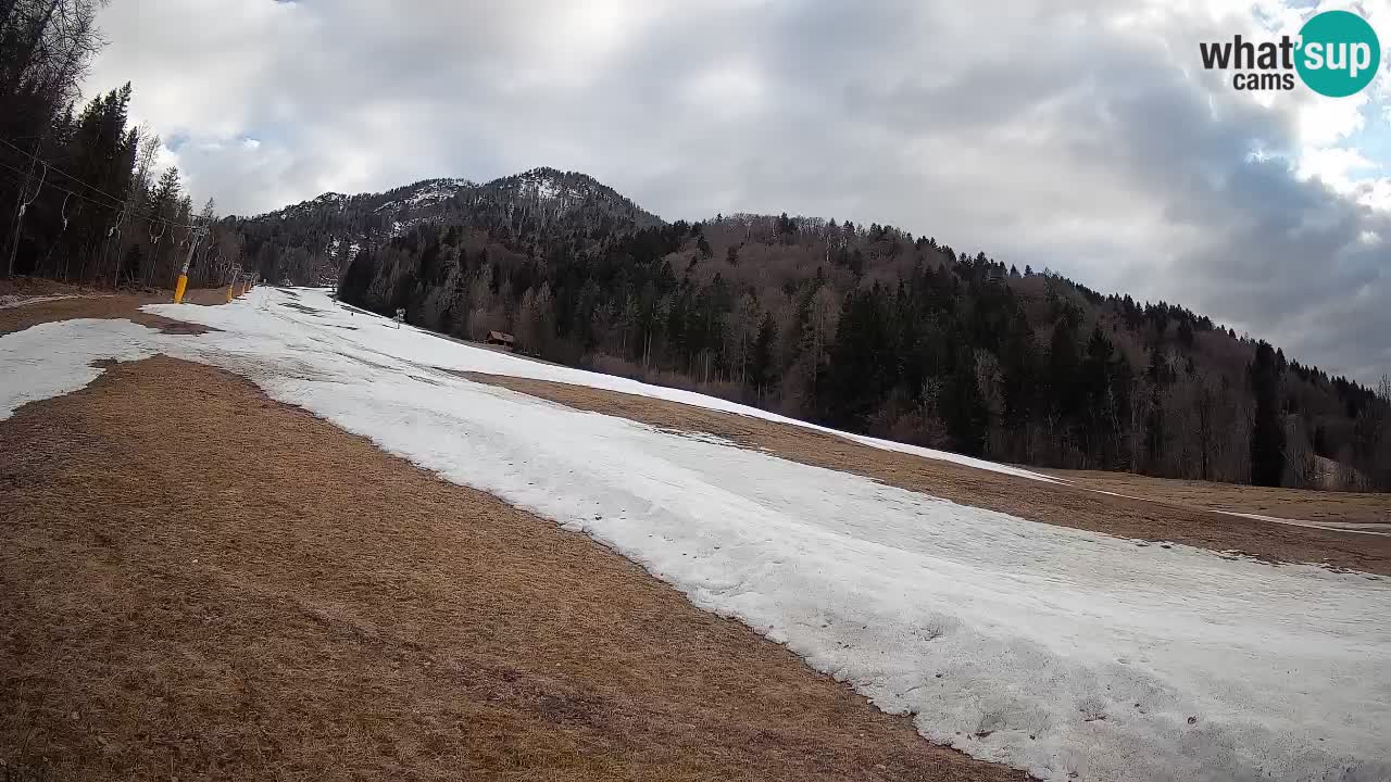 RTC Skigebiet Kranjska Gora | Brsnina