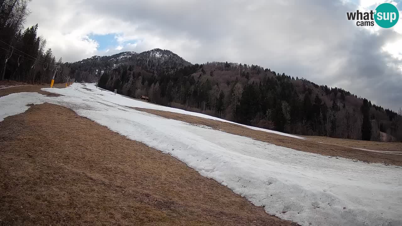 RTC Skigebiet Kranjska Gora | Brsnina