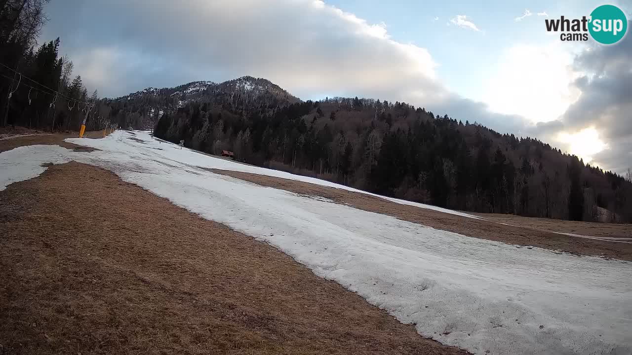 Ski Kranjska Gora | Brsnina