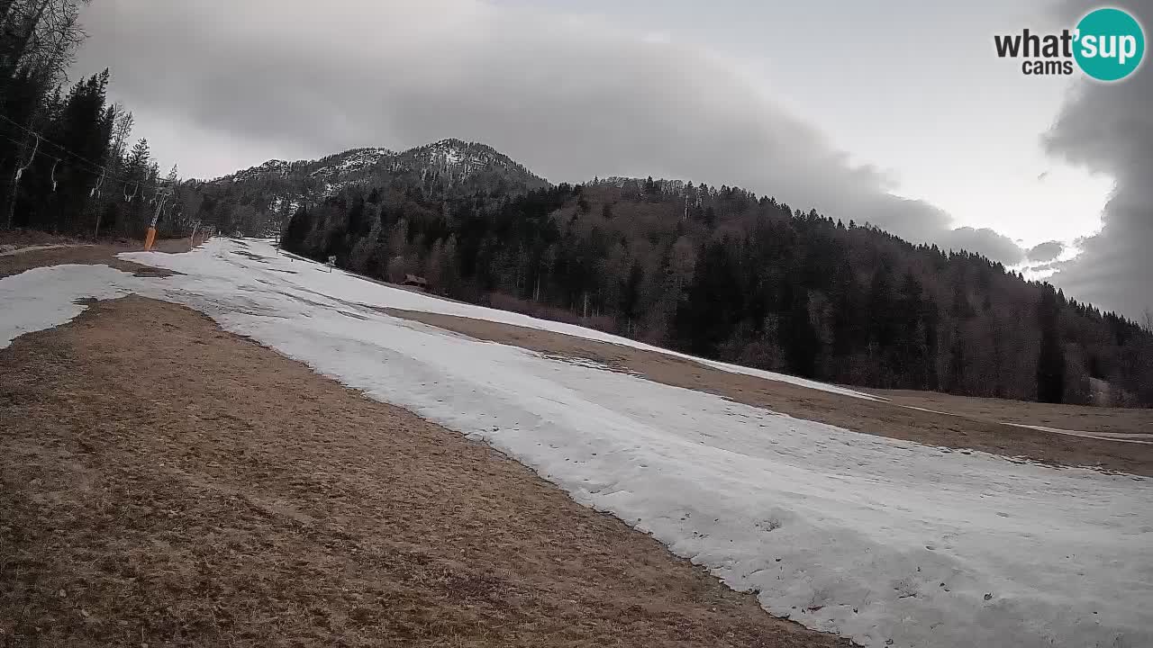 RTC Skigebiet Kranjska Gora | Brsnina
