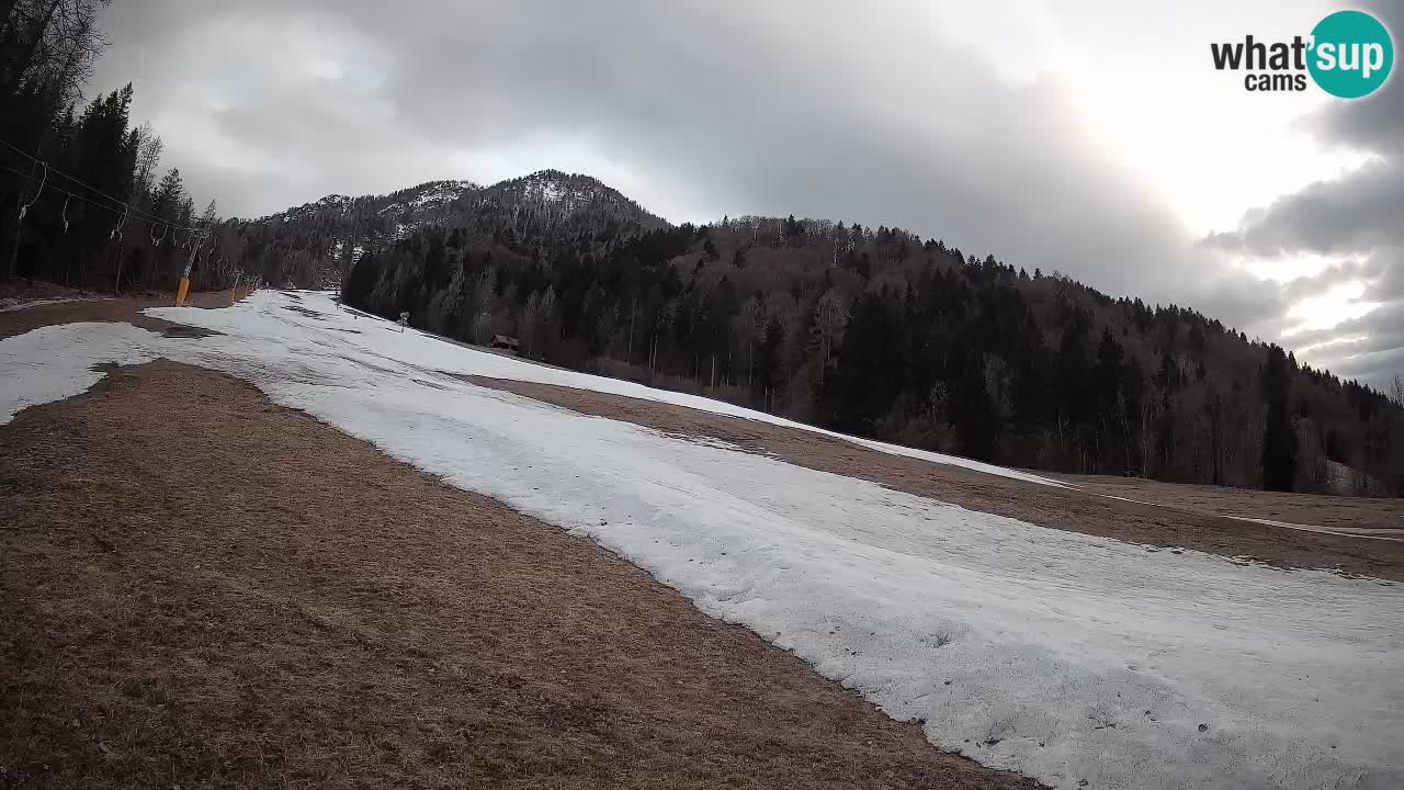 Comprensorio sciistico Kranjska Gora | Brsnina