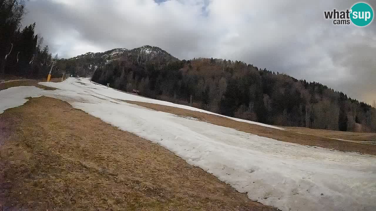 Ski Kranjska Gora | Brsnina