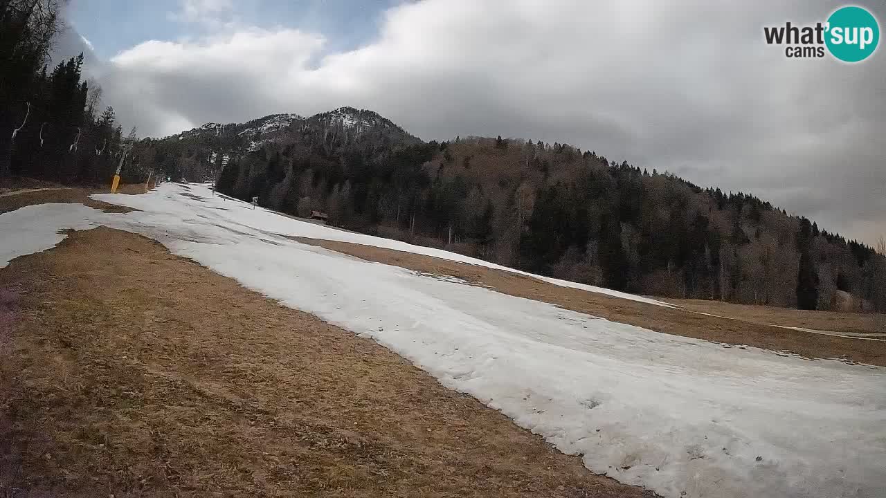 RTC Kranjska Gora | Brsnina