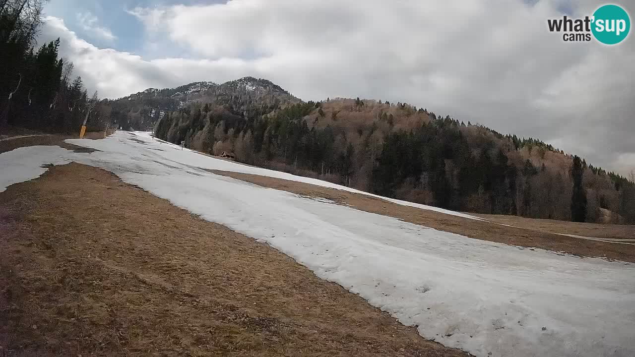 Comprensorio sciistico Kranjska Gora | Brsnina