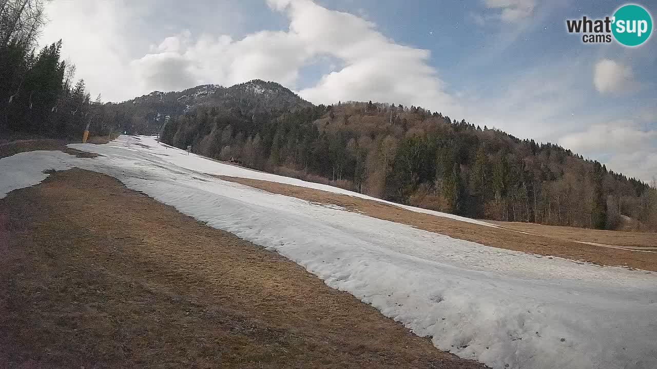 Ski Kranjska Gora | Brsnina