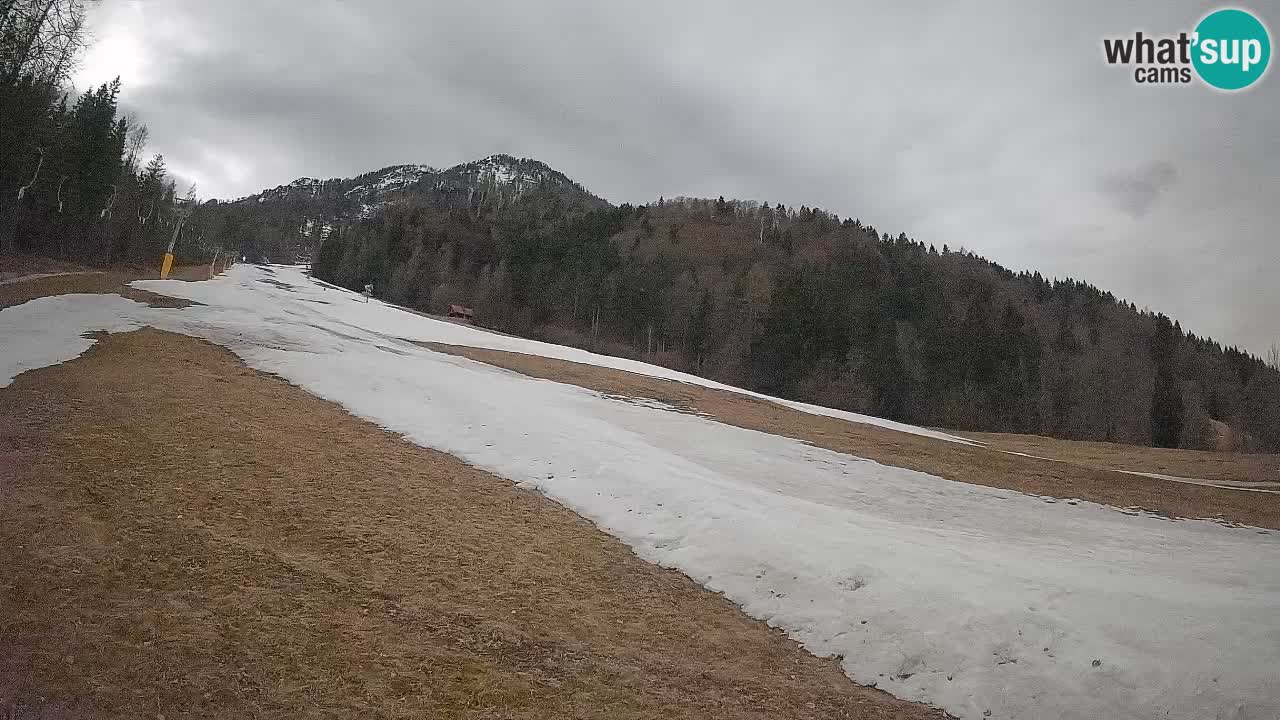 RTC Skigebiet Kranjska Gora | Brsnina