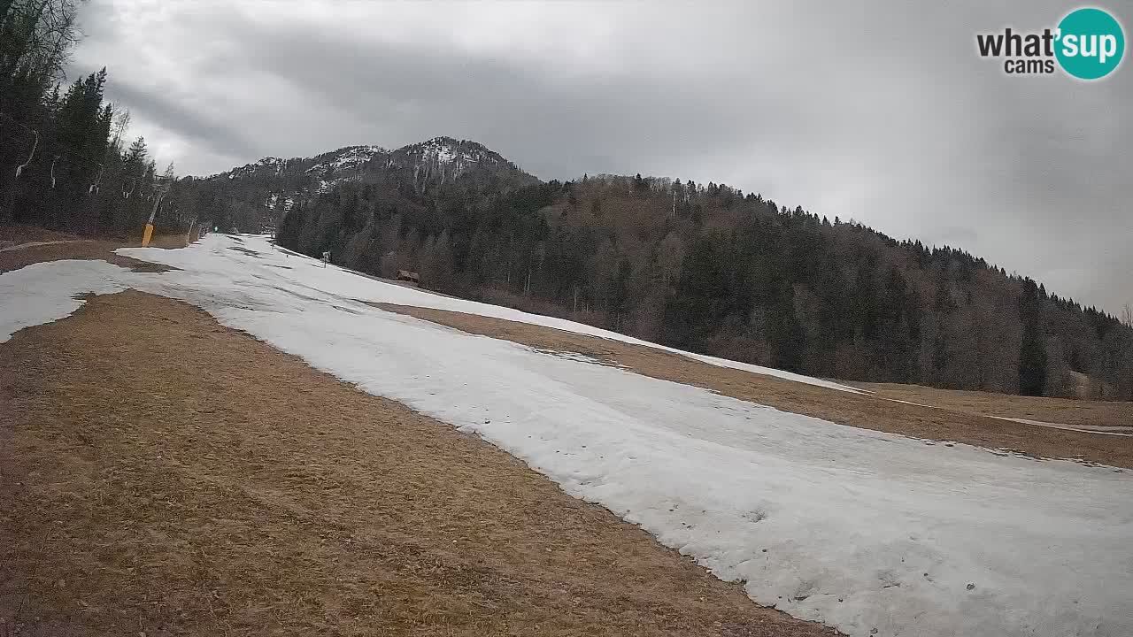 Ski Kranjska Gora | Brsnina