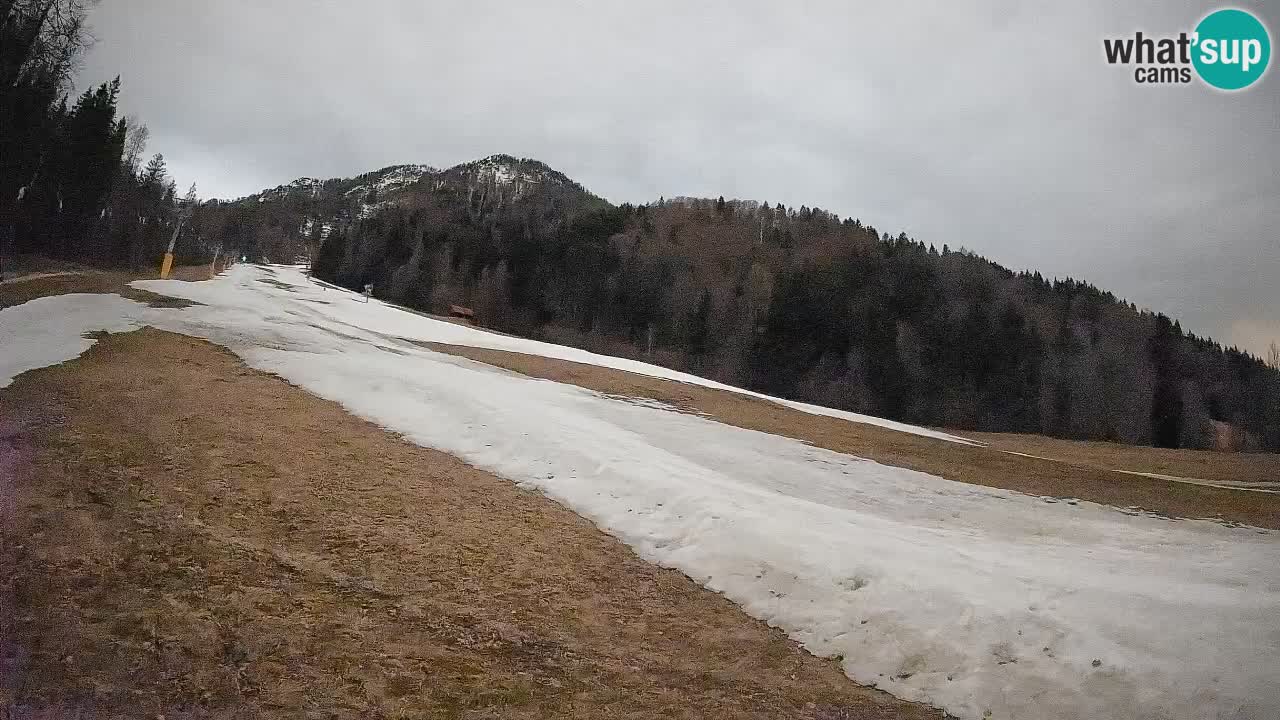 RTC Skigebiet Kranjska Gora | Brsnina
