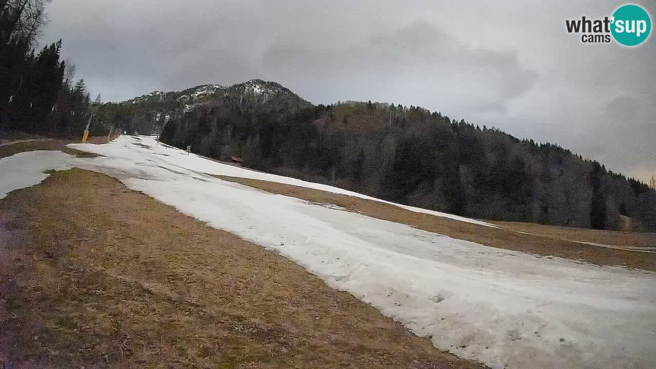 Ski Kranjska Gora | Brsnina