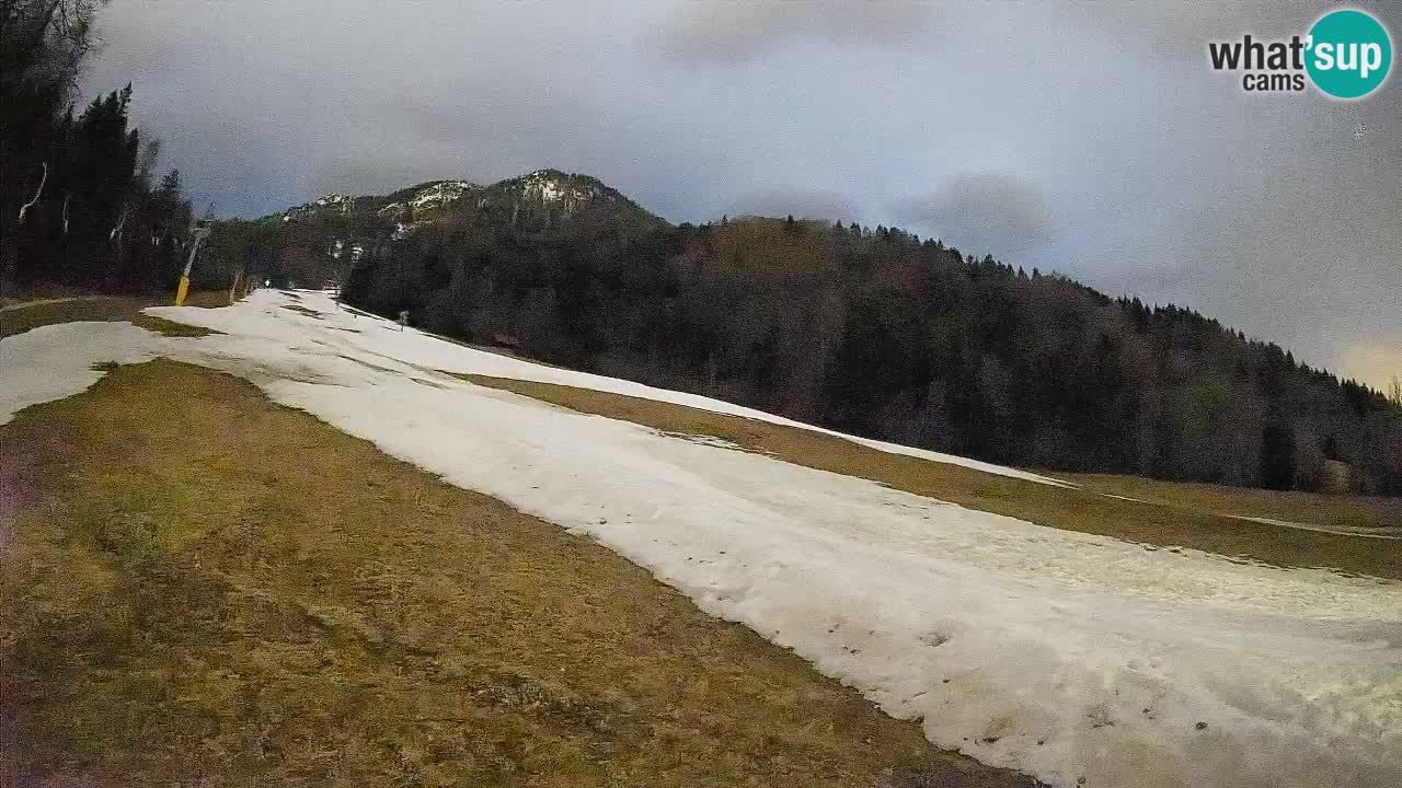RTC Skigebiet Kranjska Gora | Brsnina