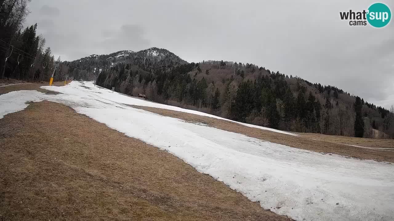 Esquí Kranjska Gora | Brsnina