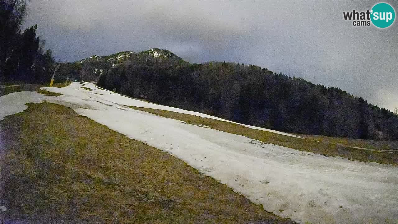 RTC Skigebiet Kranjska Gora | Brsnina