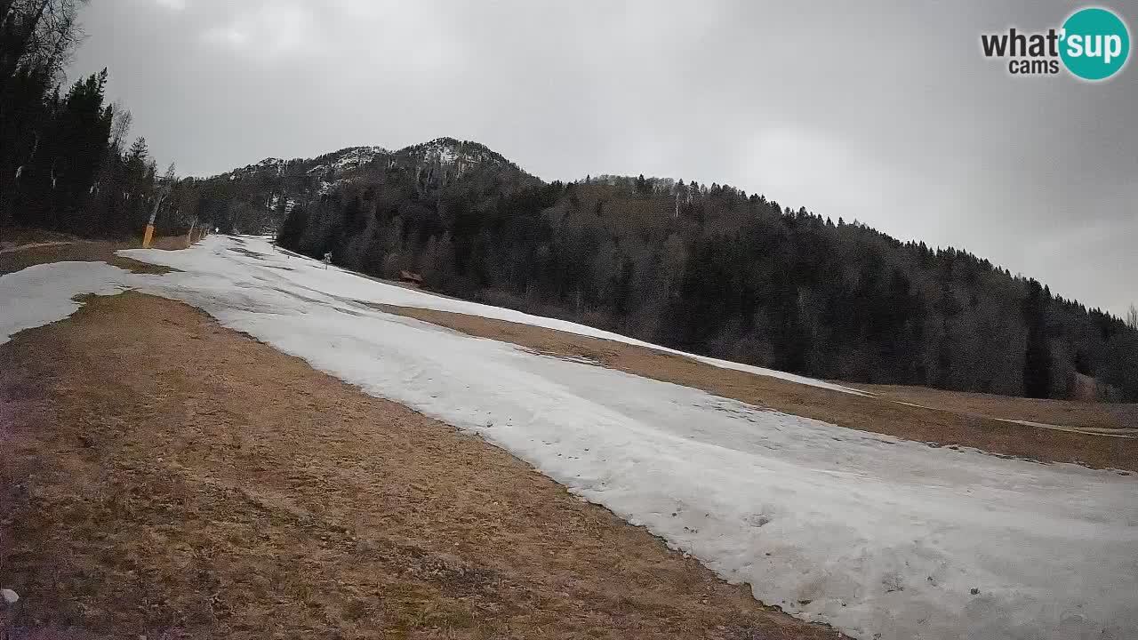 Ski Kranjska Gora | Brsnina