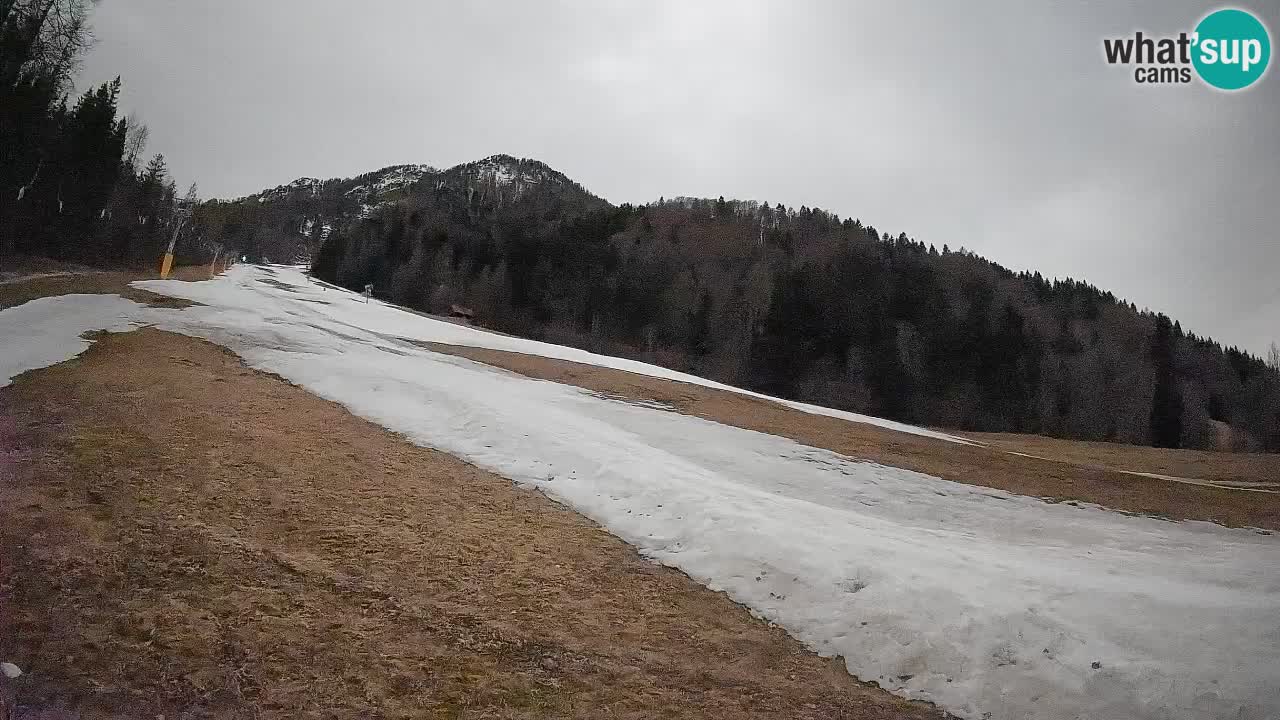 RTC Skigebiet Kranjska Gora | Brsnina