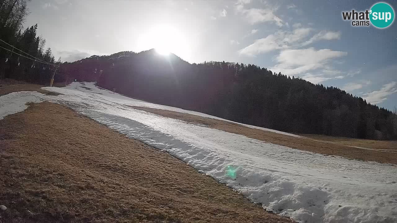 RTC Skigebiet Kranjska Gora | Brsnina
