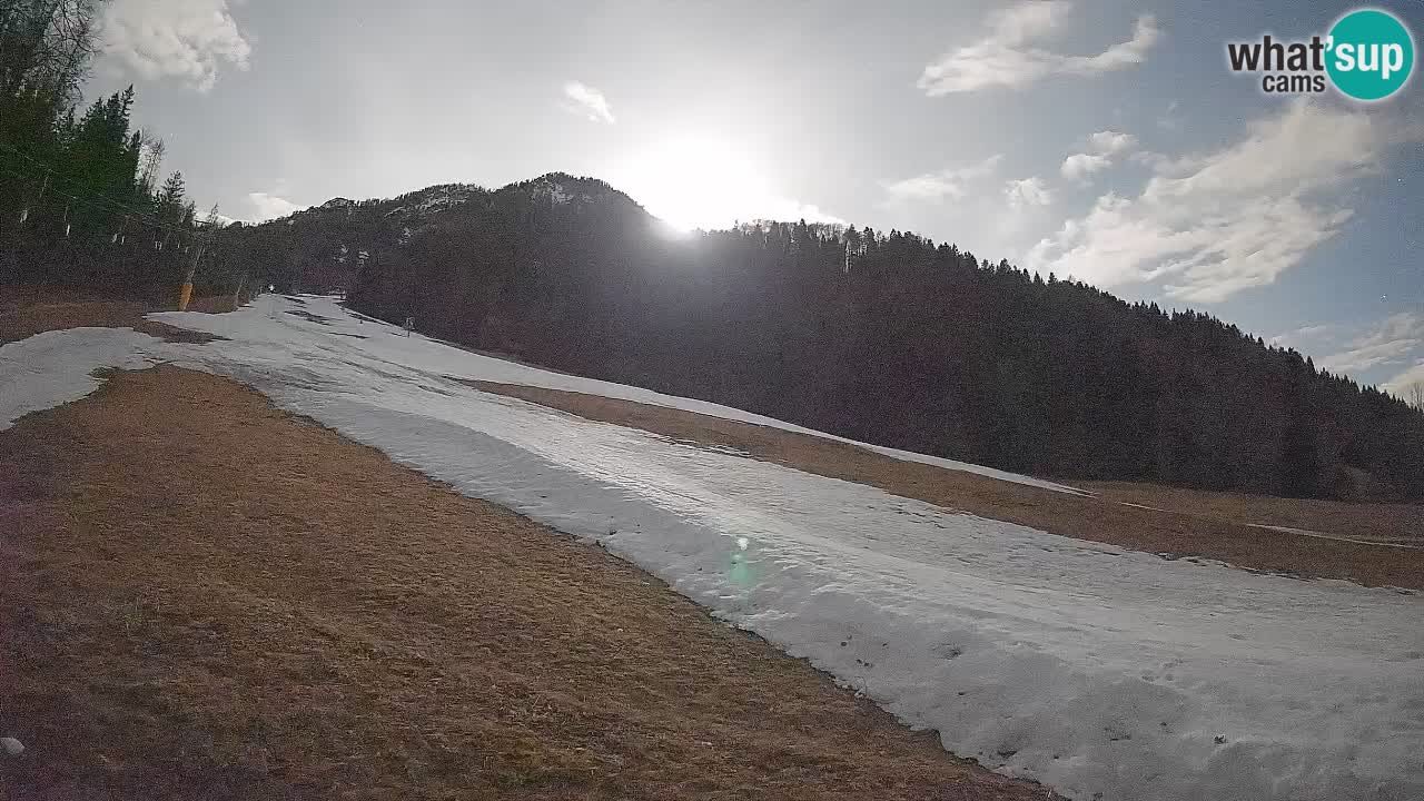 Ski Kranjska Gora | Brsnina