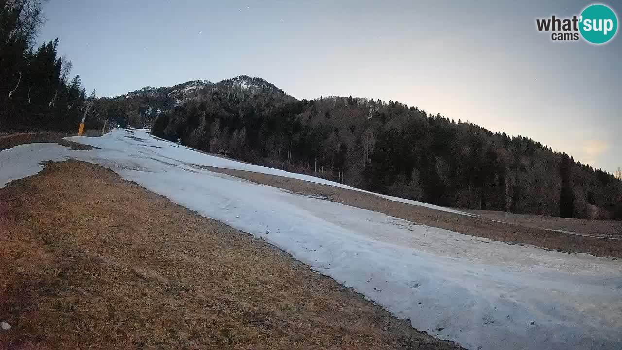 Kranjska Gora SKIJANJE | Brsnina