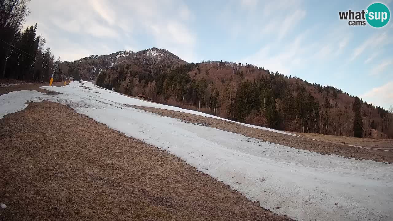 Ski Kranjska Gora | Brsnina
