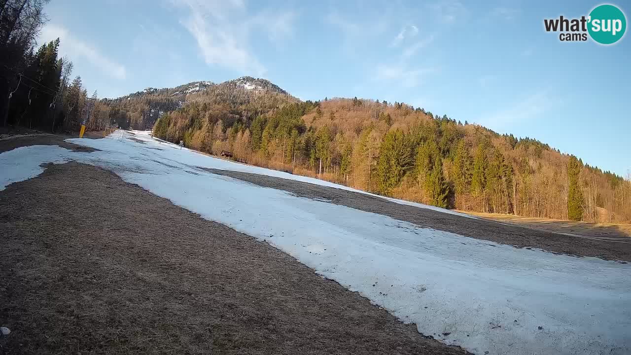 RTC Skigebiet Kranjska Gora | Brsnina