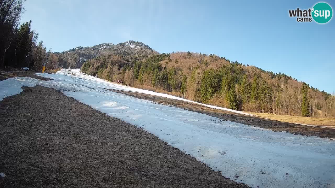 RTC Kranjska Gora | Brsnina