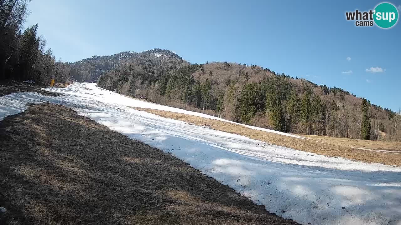 Kranjska Gora Station de ski | Brsnina