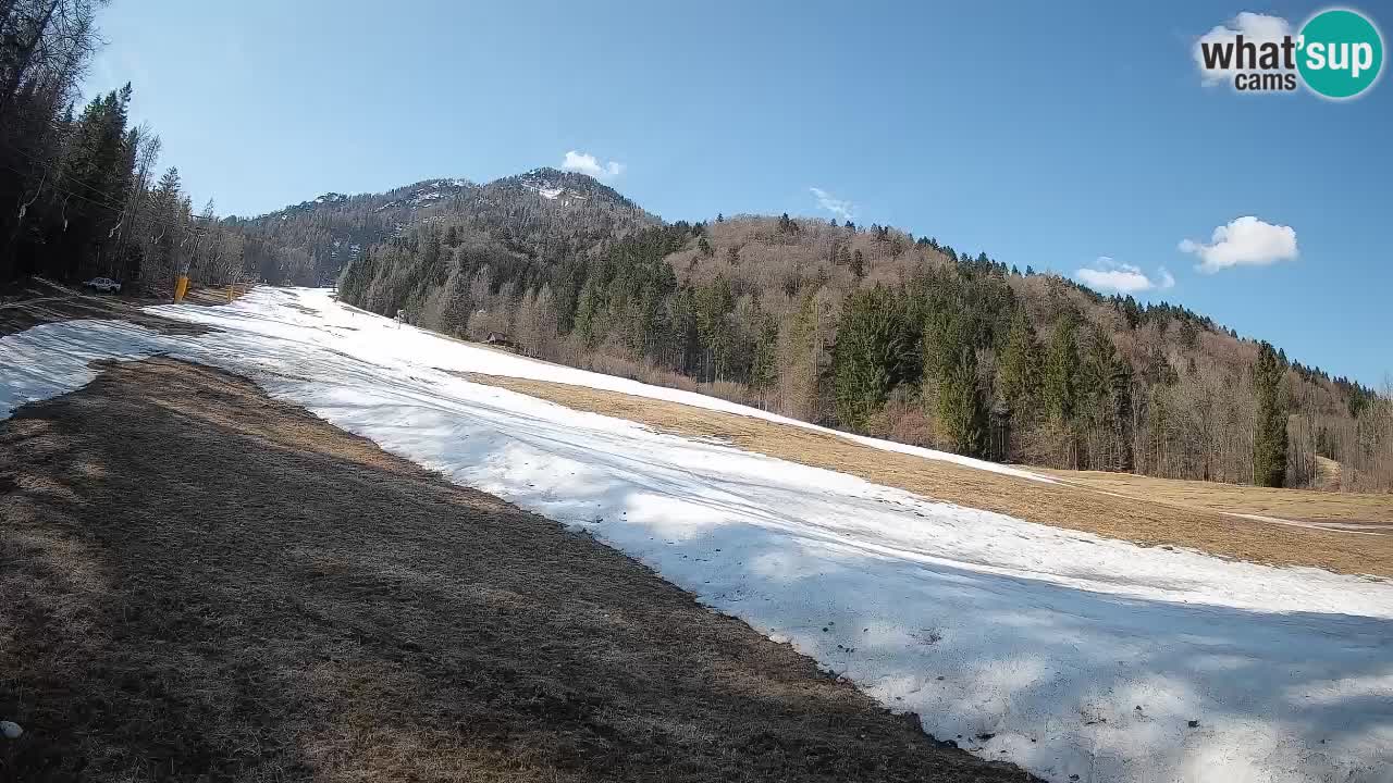 Comprensorio sciistico Kranjska Gora | Brsnina