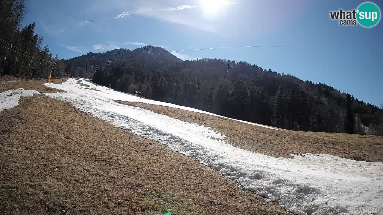 Comprensorio sciistico Kranjska Gora | Brsnina