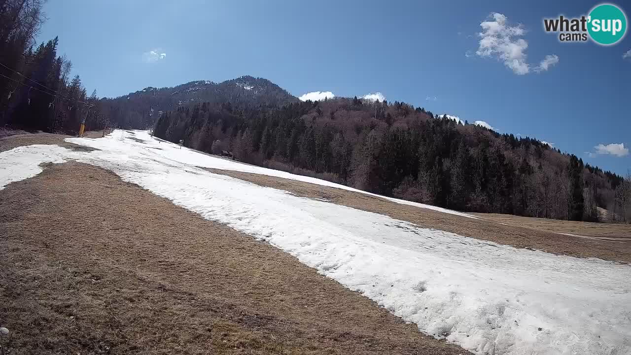 RTC Skigebiet Kranjska Gora | Brsnina