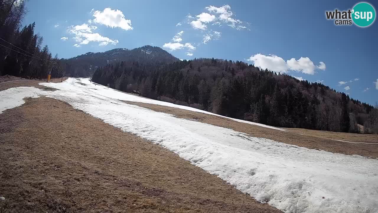 Ski Kranjska Gora | Brsnina
