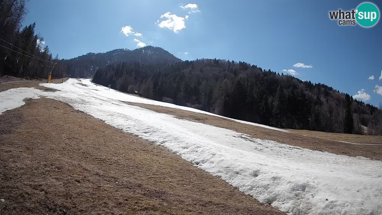 Ski Kranjska Gora | Brsnina