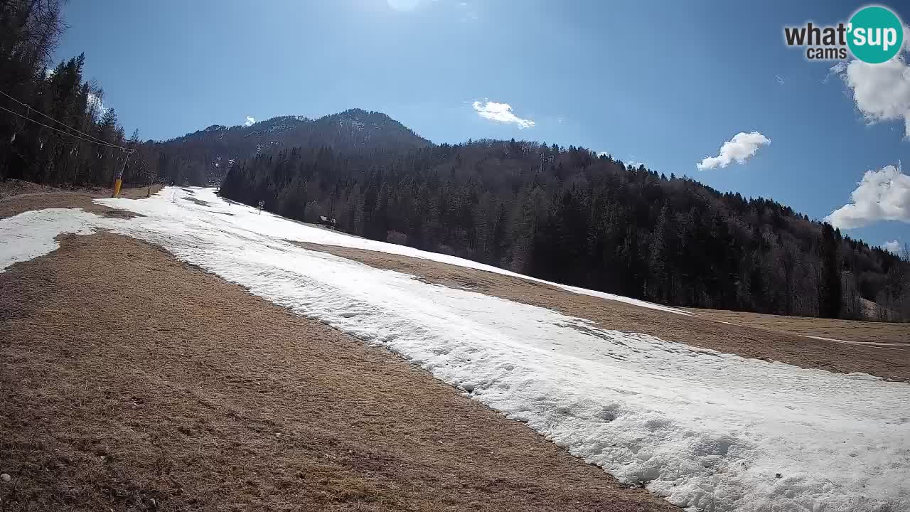 Kranjska Gora Station de ski | Brsnina