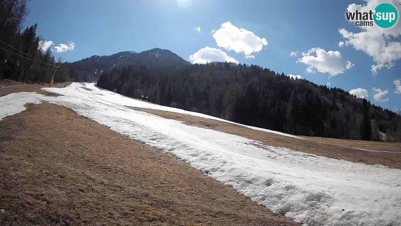 Comprensorio sciistico Kranjska Gora | Brsnina