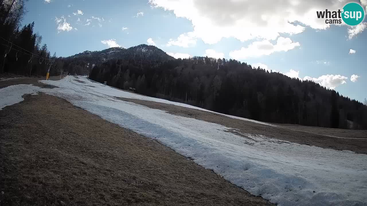 Ski Kranjska Gora | Brsnina