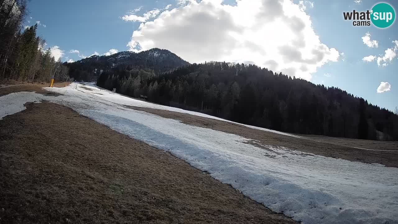 Kranjska Gora Station de ski | Brsnina