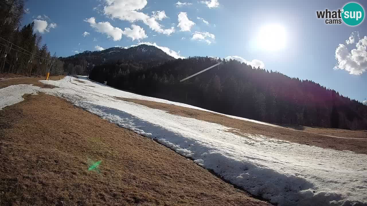RTC Skigebiet Kranjska Gora | Brsnina