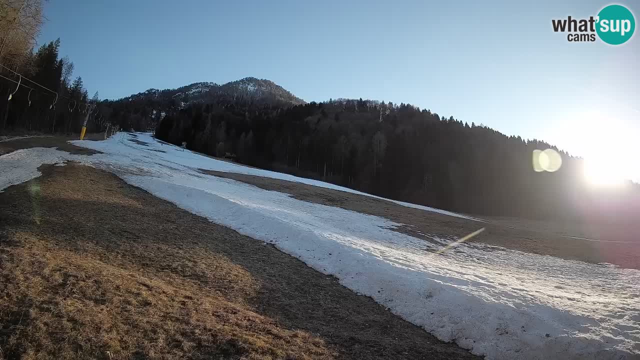 RTC Skigebiet Kranjska Gora | Brsnina