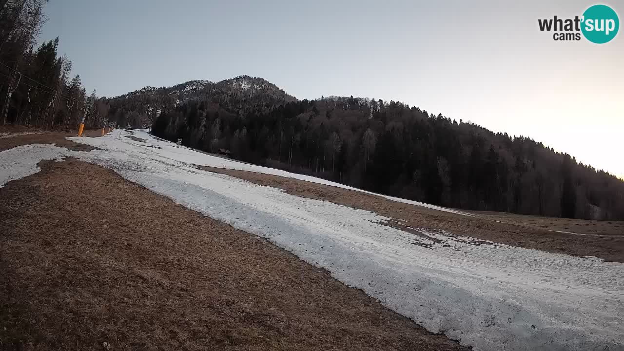 Ski Kranjska Gora | Brsnina