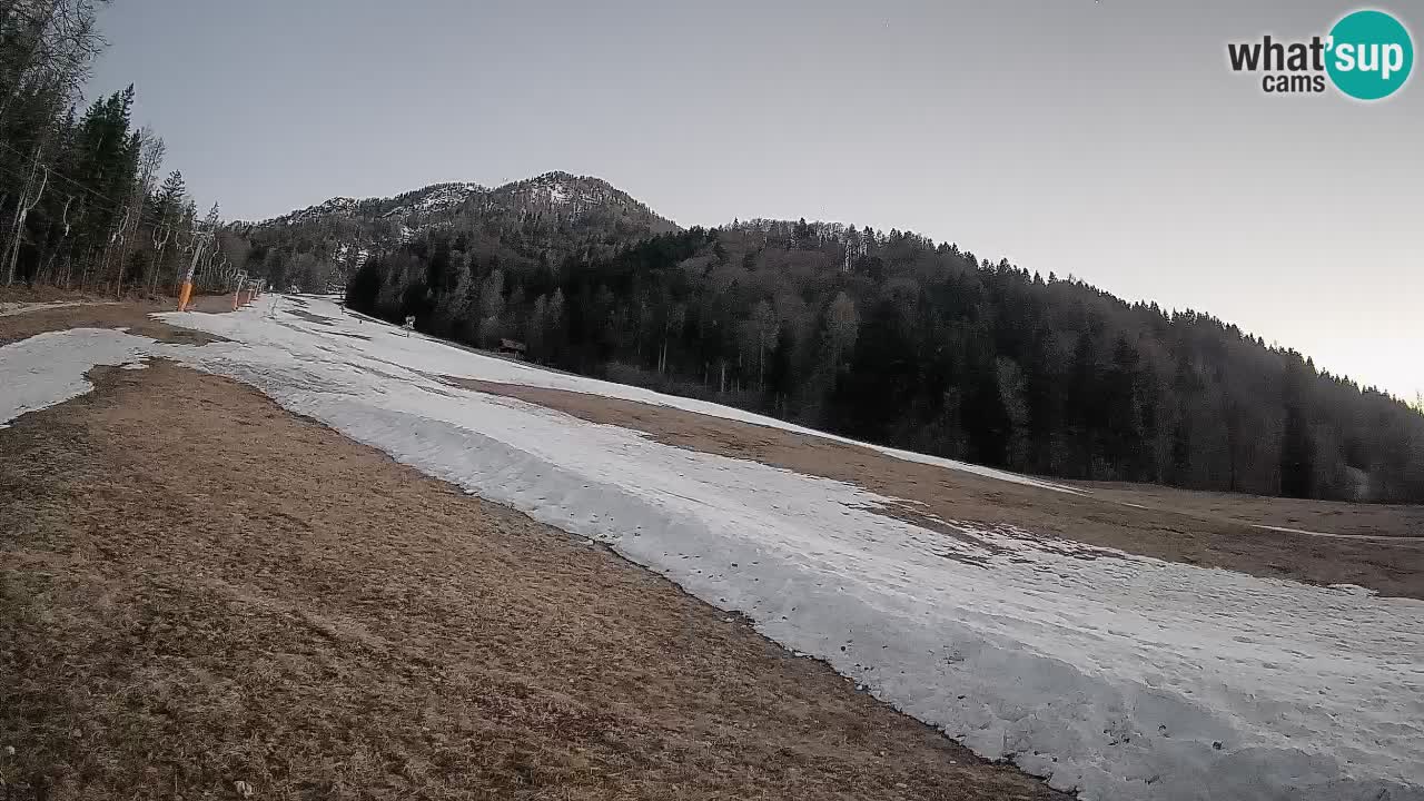 Esquí Kranjska Gora | Brsnina