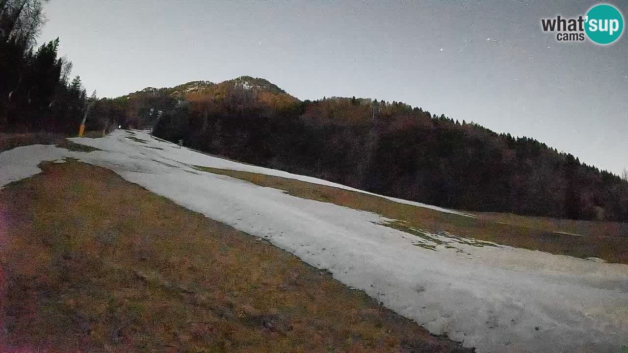 Ski Kranjska Gora | Brsnina