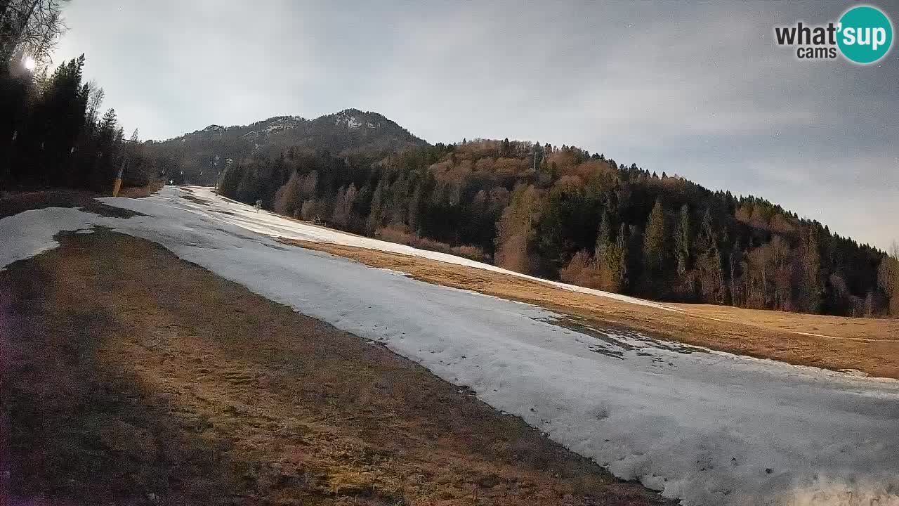 Ski Kranjska Gora | Brsnina