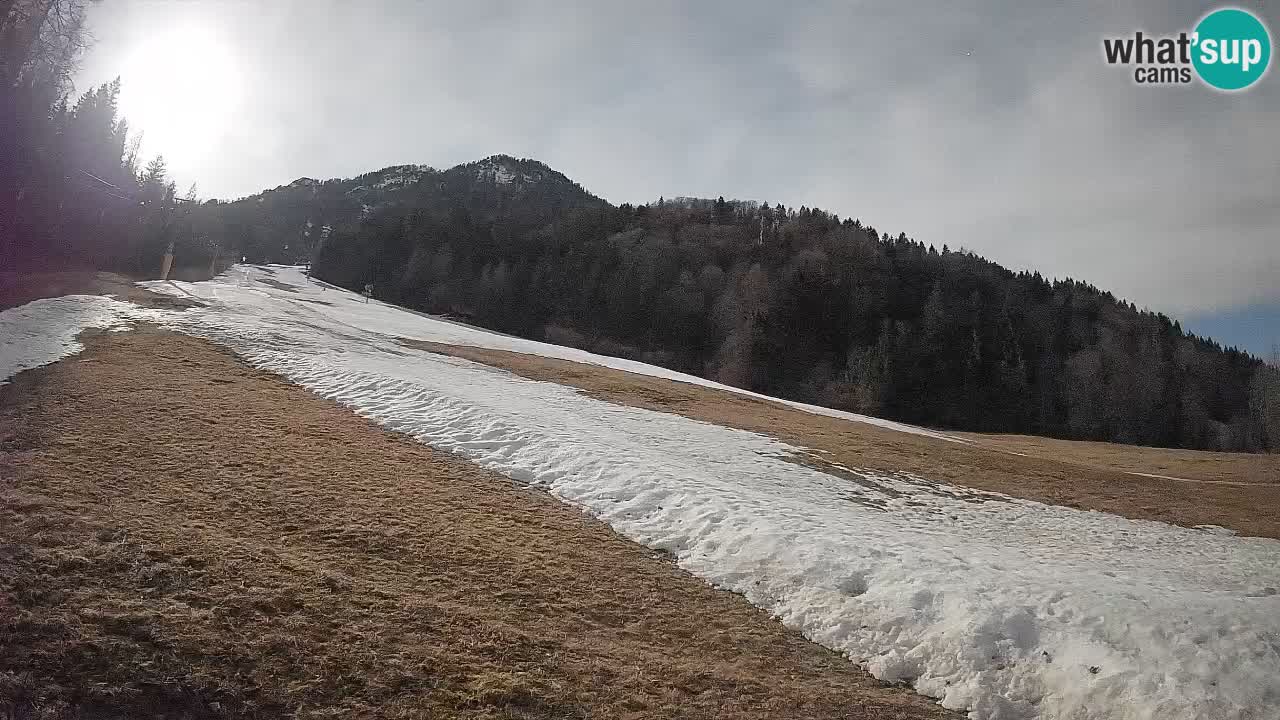 Comprensorio sciistico Kranjska Gora | Brsnina