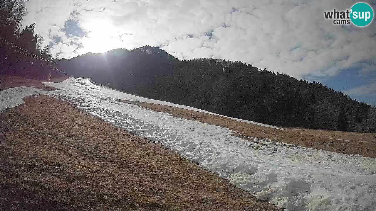 Ski Kranjska Gora | Brsnina