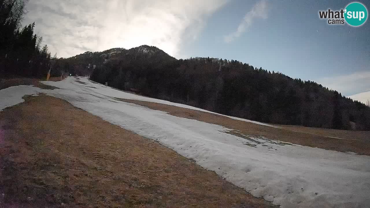 Ski Kranjska Gora | Brsnina