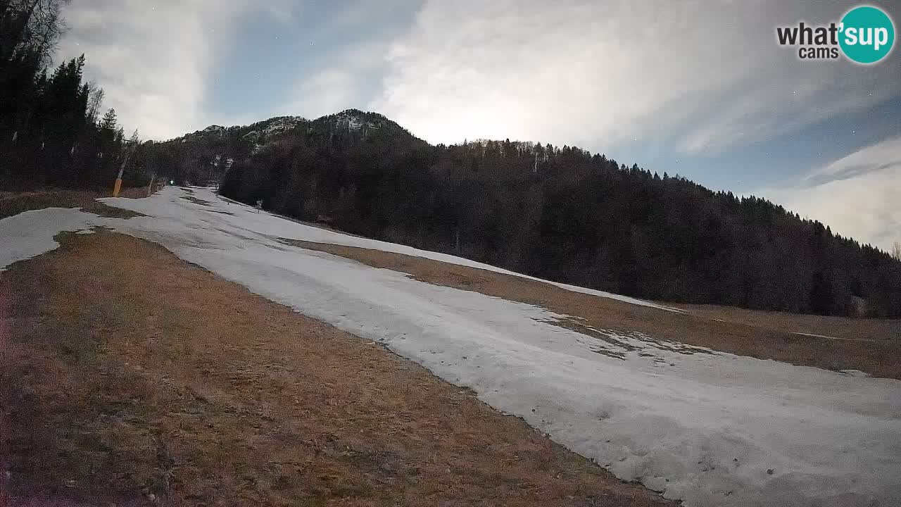 Ski Kranjska Gora | Brsnina