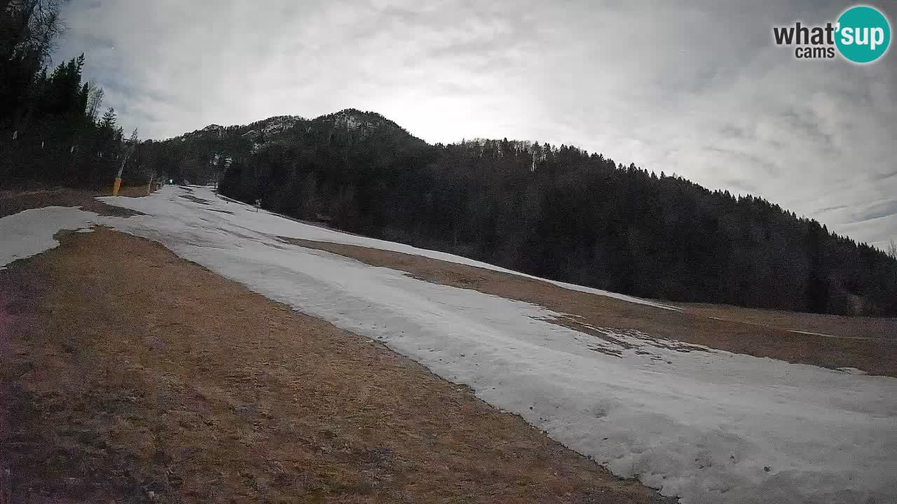 Kranjska Gora SKIJANJE | Brsnina