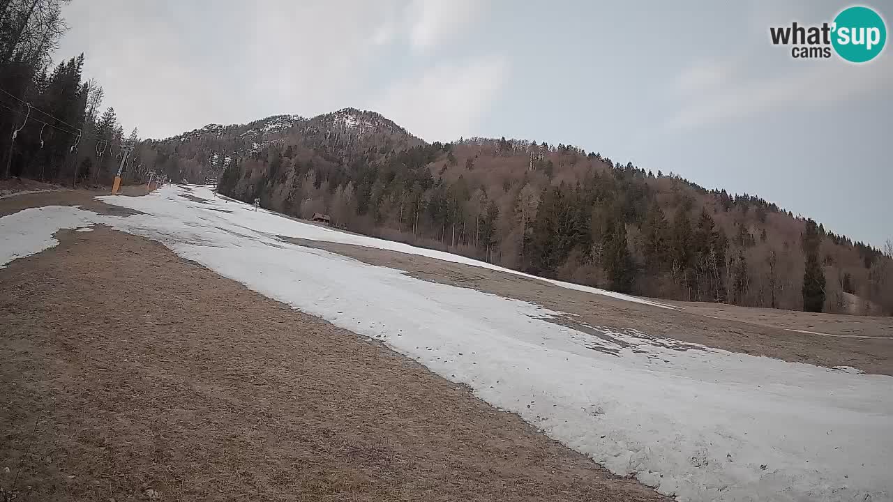 Ski Kranjska Gora | Brsnina