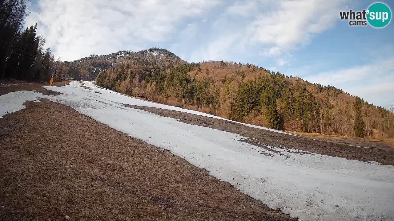 Ski Kranjska Gora | Brsnina