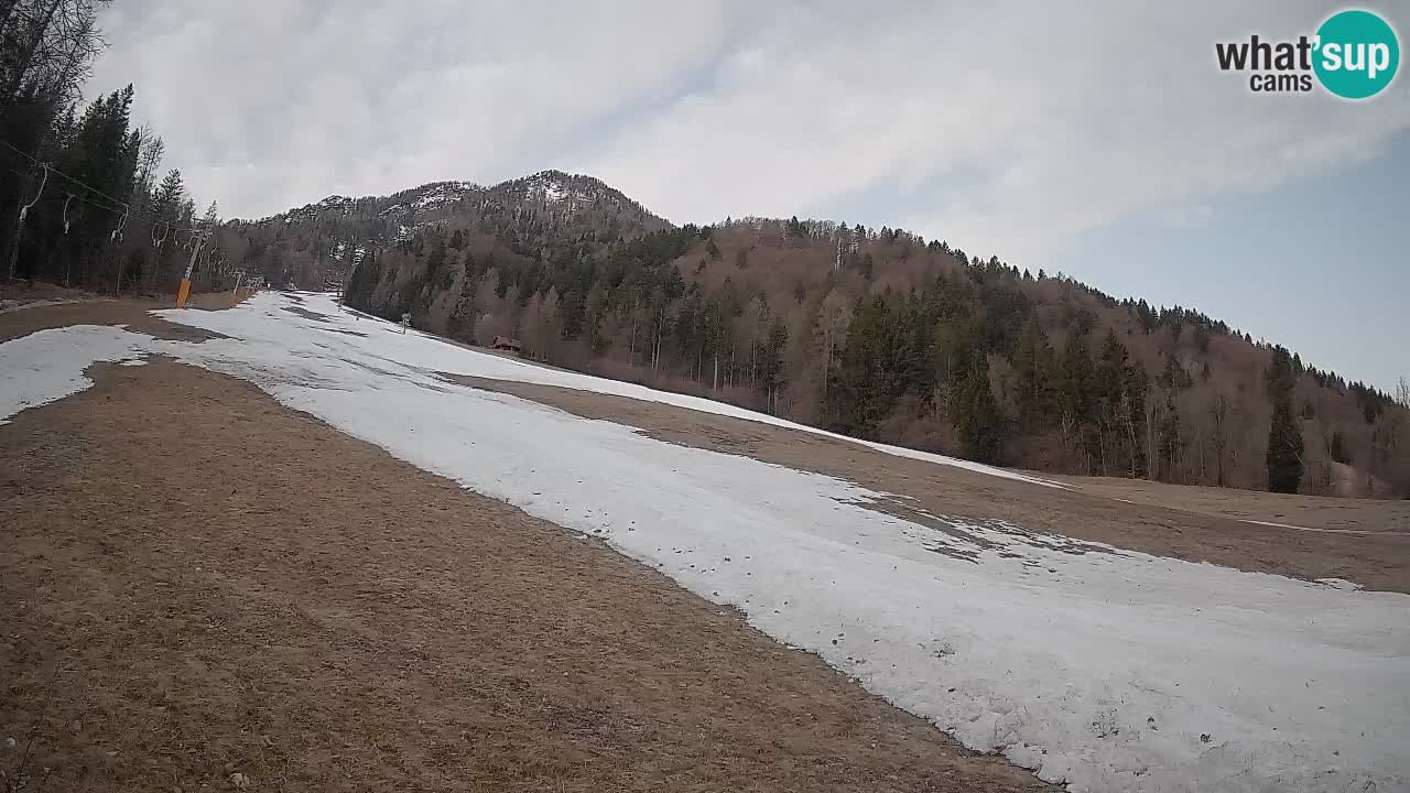 Kranjska Gora SKIJANJE | Brsnina