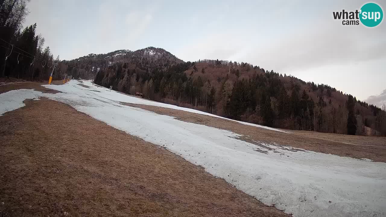 RTC Skigebiet Kranjska Gora | Brsnina
